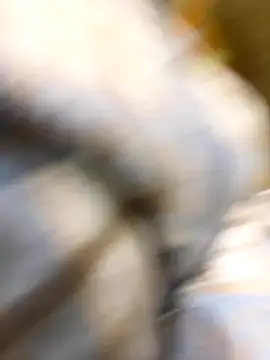 Snapshot of _xiaoniaojiang chatting on 10/15/25, 10:37  xiaoniaojiang online show from 10/15/25, 10:37