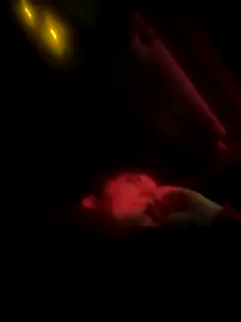 Butterfly8385 online show from 12/19/25, 03:41