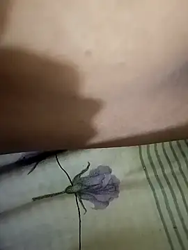 Snapshot of kajal_jadhav chatting on 10/29/25, 08:54 kajal jadhav online show from 10/29/25, 08:54