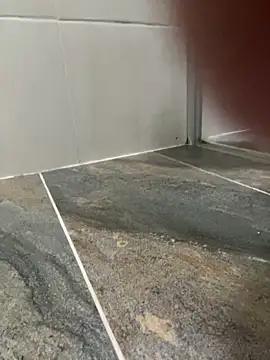 Dani anal ts online show from 10/29/25, 08:54