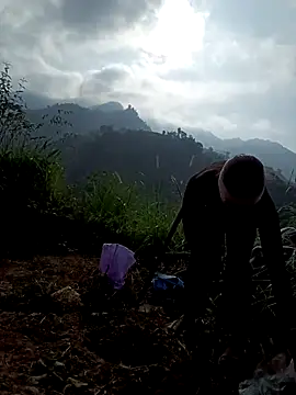 nat-tri online show from 12/19/25, 07:26