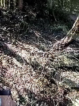 228fucker online show from 01/08/26, 07:43