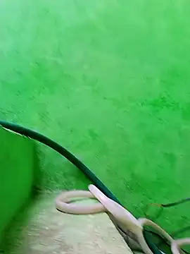 Karishma cute online show from 11/29/25, 04:48