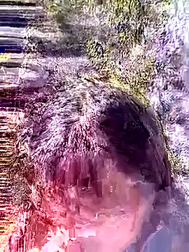 siusiu-00 online show from 01/18/26, 05:00