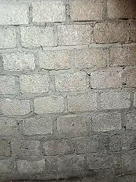 siusiu-00 online show from 02/19/26, 09:16