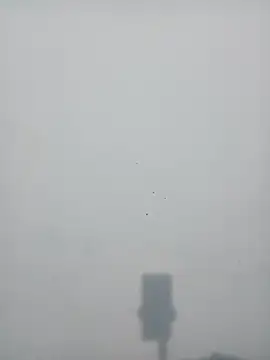 Snapshot of strip_queennn chatting on 11/10/25, 05:45 strip queennn online show from 11/10/25, 05:45