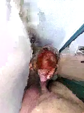 PorcelainDoll1 online show from 01/14/26, 11:38