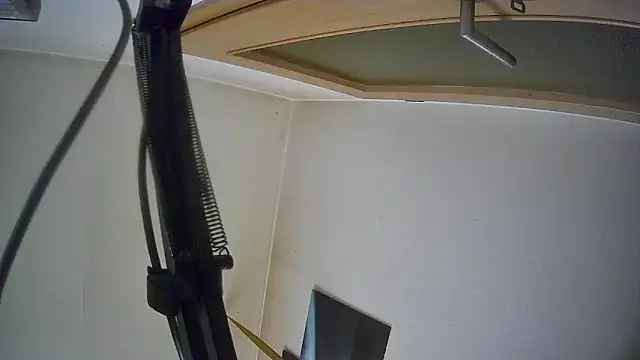 bull419M online show from 10/17/25, 09:45