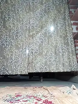 Rajni chauhan online show from 12/20/25, 04:14