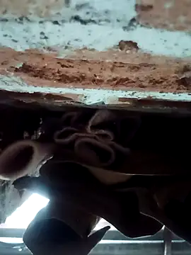 Rajni chauhan online show from 02/01/26, 04:27