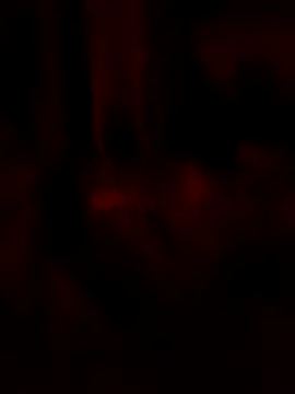 goloso80 online show from 05/22/26, 02:51
