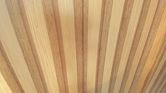 mia  blaze   online show from 12/22/25, 03:03