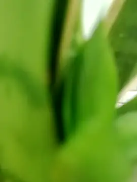 Snapshot of roludao_fun chatting on 06/06/26, 01:21 roludao fun online show from 06/06/26, 01:21