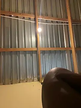 solodrive online show from 02/24/26, 10:13