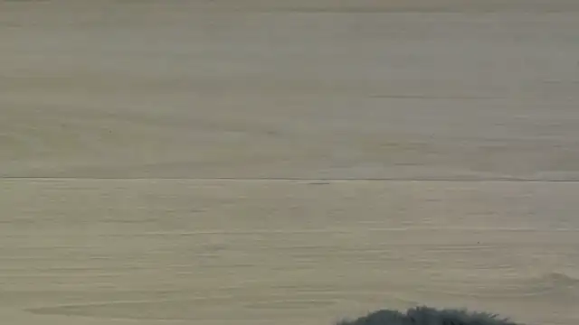 KimWilmes online show from 12/14/25, 04:40