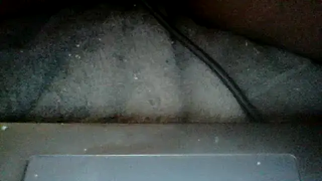 mamiandpapi6969 online show from 05/01/26, 02:16