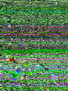 Snapshot of Dev2k22 chatting on 12/17/25, 06:14 Dev2k22 online show from 12/17/25, 06:14