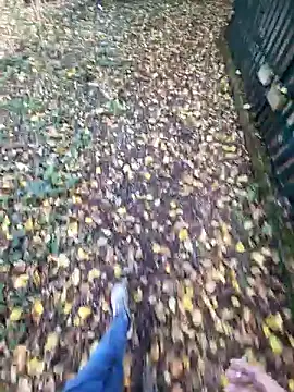 bbyxklaus online show from 11/04/25, 10:36