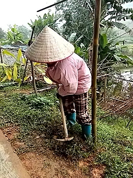 Fish yellow online show from 12/17/25, 01:55