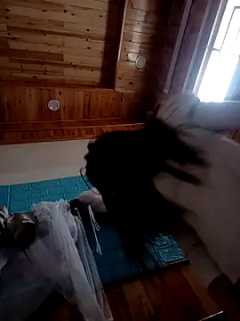 Snapshot of kokoto-59 chatting on 02/07/26, 01:09 kokoto-59 online show from 02/07/26, 01:09