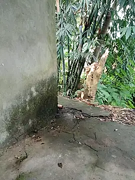 Bear bear0 online show from 11/08/25, 01:50