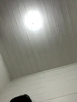 Snapshot of cheems232 chatting on 11/14/25, 04:06 cheems232 online show from 11/14/25, 04:06