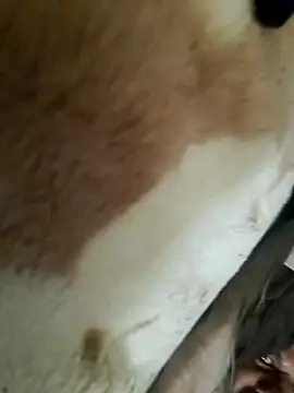 Perfect size online show from 11/20/25, 08:58