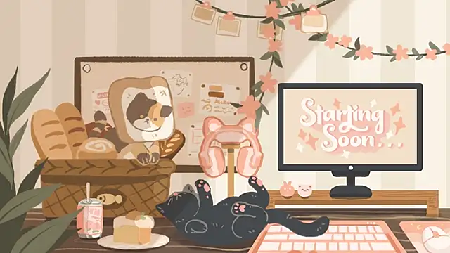 Snapshot of geekycastillo chatting on 11/05/25, 03:39 geekycastillo online show from 11/05/25, 03:39