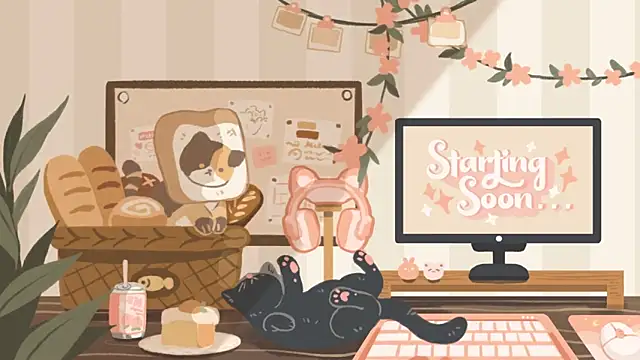 Snapshot of geekycastillo chatting on 11/23/25, 03:39 geekycastillo online show from 11/23/25, 03:39