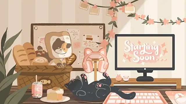 Snapshot of geekycastillo chatting on 11/26/25, 03:51 geekycastillo online show from 11/26/25, 03:51