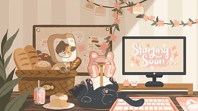 Snapshot of geekycastillo chatting on 11/27/25, 11:51 geekycastillo online show from 11/27/25, 11:51