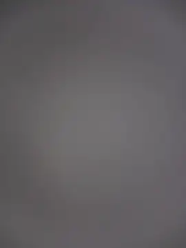 cutepussy356 online show from 08/02/26, 08:24