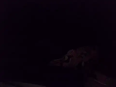 boldiva89 online show from 10/25/25, 01:35