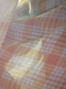 Ankitahot1993 online show from 01/31/26, 11:36