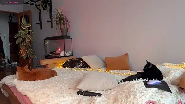 Snapshot of Lin_Cherie chatting on 11/20/25, 11:21 Lin Cherie online show from 11/20/25, 11:21