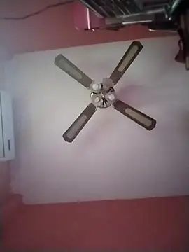 Danii2005 online show from 12/17/25, 05:30