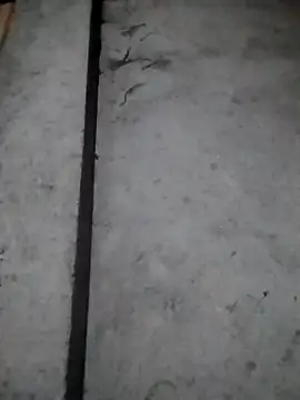 rickkis2k online show from 12/16/25, 10:15