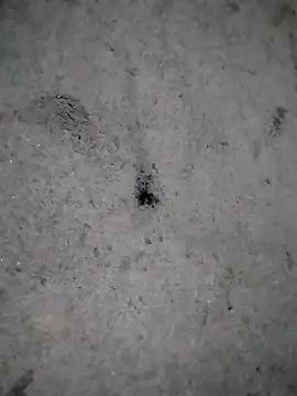 rickkis2k online show from 12/21/25, 11:01