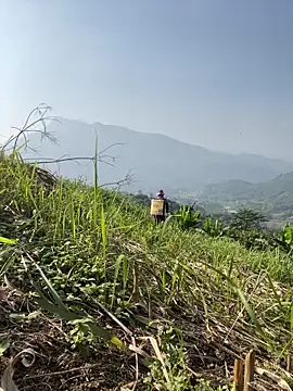 Irin jo online show from 11/23/25, 06:46