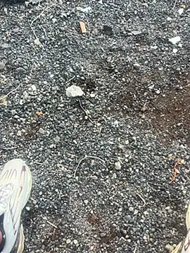 Rico1 1 online show from 11/18/25, 08:41