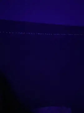 Gia Atkinson online show from 10/24/25, 11:45