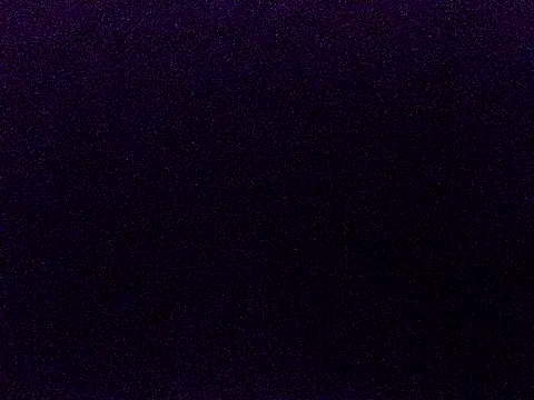 Snapshot of alfarabisami chatting on 03/13/26, 05:19 alfarabisami online show from 03/13/26, 05:19