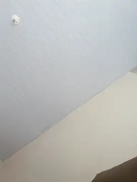 Snapshot of Morenodotado0 chatting on 02/24/26, 03:32 Morenodotado0 online show from 02/24/26, 03:32