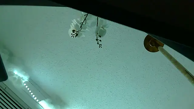 playxrated online show from 04/10/26, 08:19