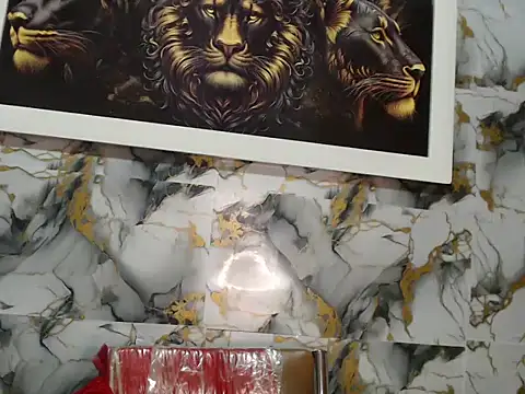 Snapshot of Rigel_paxs chatting on 11/18/25, 06:01 Rigel paxs online show from 11/18/25, 06:01