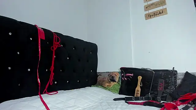 abby mullerr online show from 12/03/25, 09:57