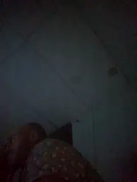 Snapshot of BulbasaurIsmettv chatting on 11/12/25, 06:47 BulbasaurIsmettv online show from 11/12/25, 06:47