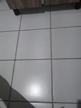  raquel online show from 03/14/26, 12:17