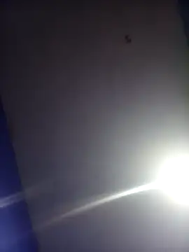 Snapshot of HSexy_Men00 chatting on 11/26/25, 08:59 HSexy Men00 online show from 11/26/25, 08:59