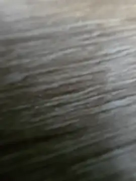 vivodan online show from 04/04/26, 03:09